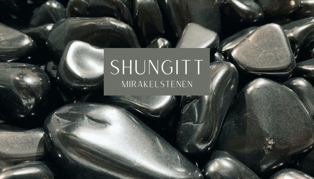 Shungitt Slipt Stein
