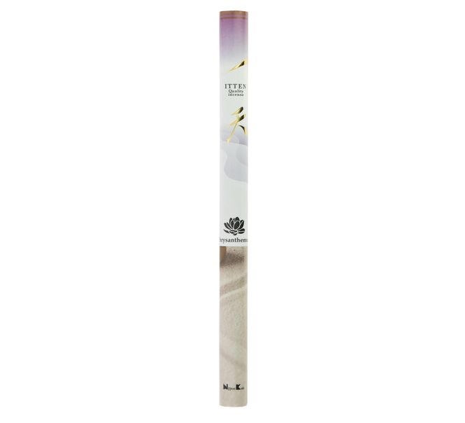 Hovedbilde Itten Long Roll Chrysanthemum ...